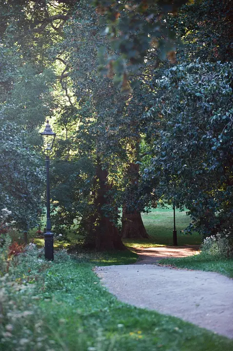 Hyde Park, London, photo 4