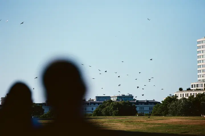 Hyde Park, London, photo 12