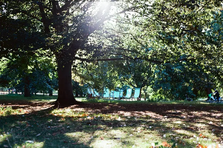 Hyde Park, London, photo 14