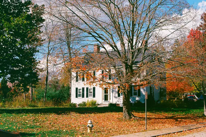 PEA Fall, photo 21