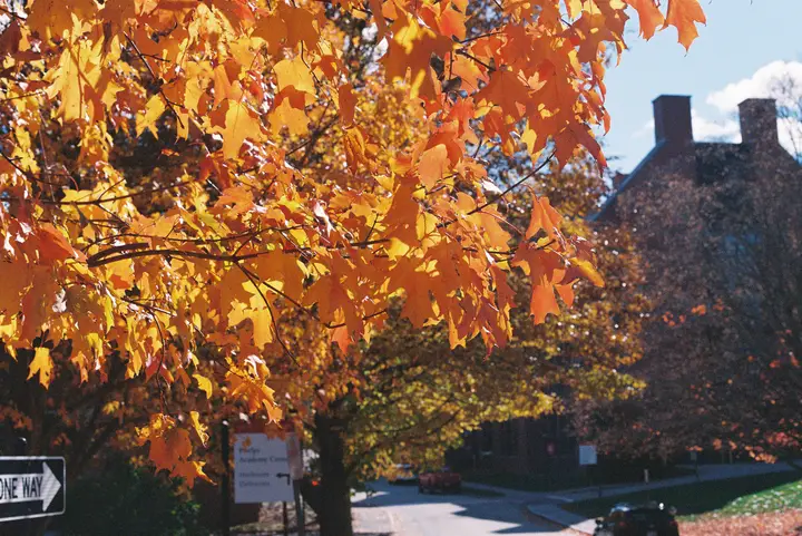 PEA Fall, photo 22