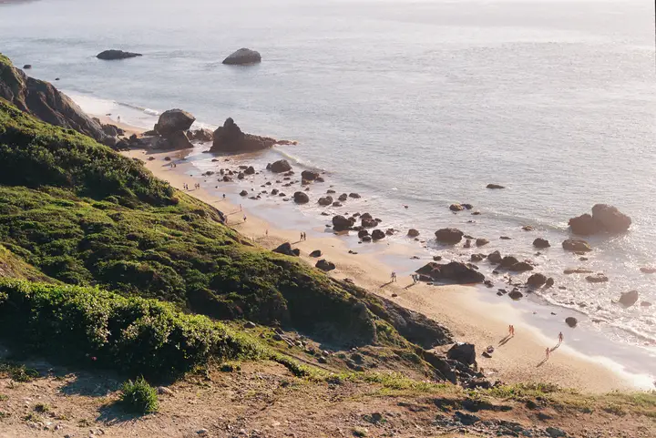 SF & Marin, photo 3