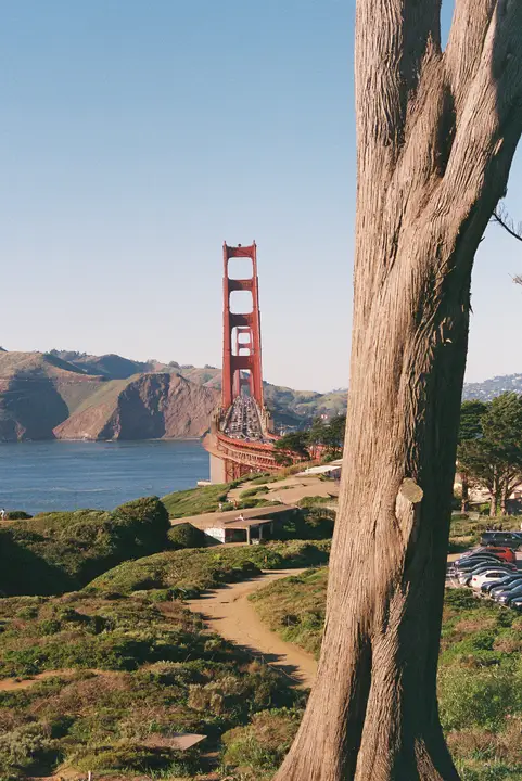SF & Marin, photo 5