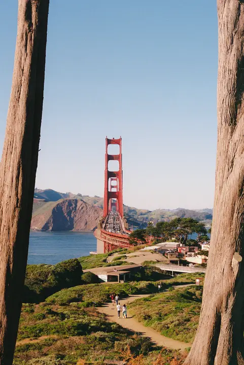 SF & Marin, photo 6