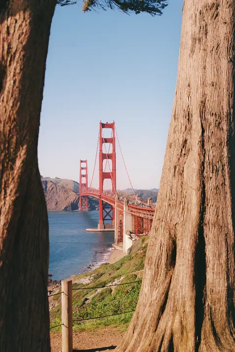 SF & Marin, photo 7