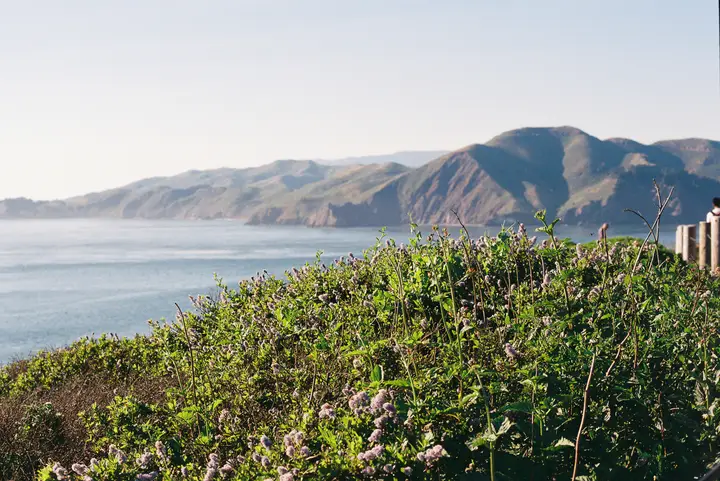 SF & Marin, photo 9