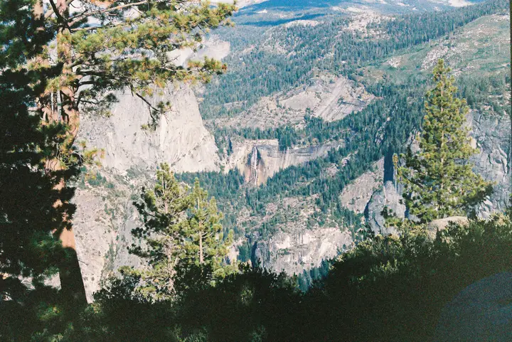 Yosemite & Summer, photo 8