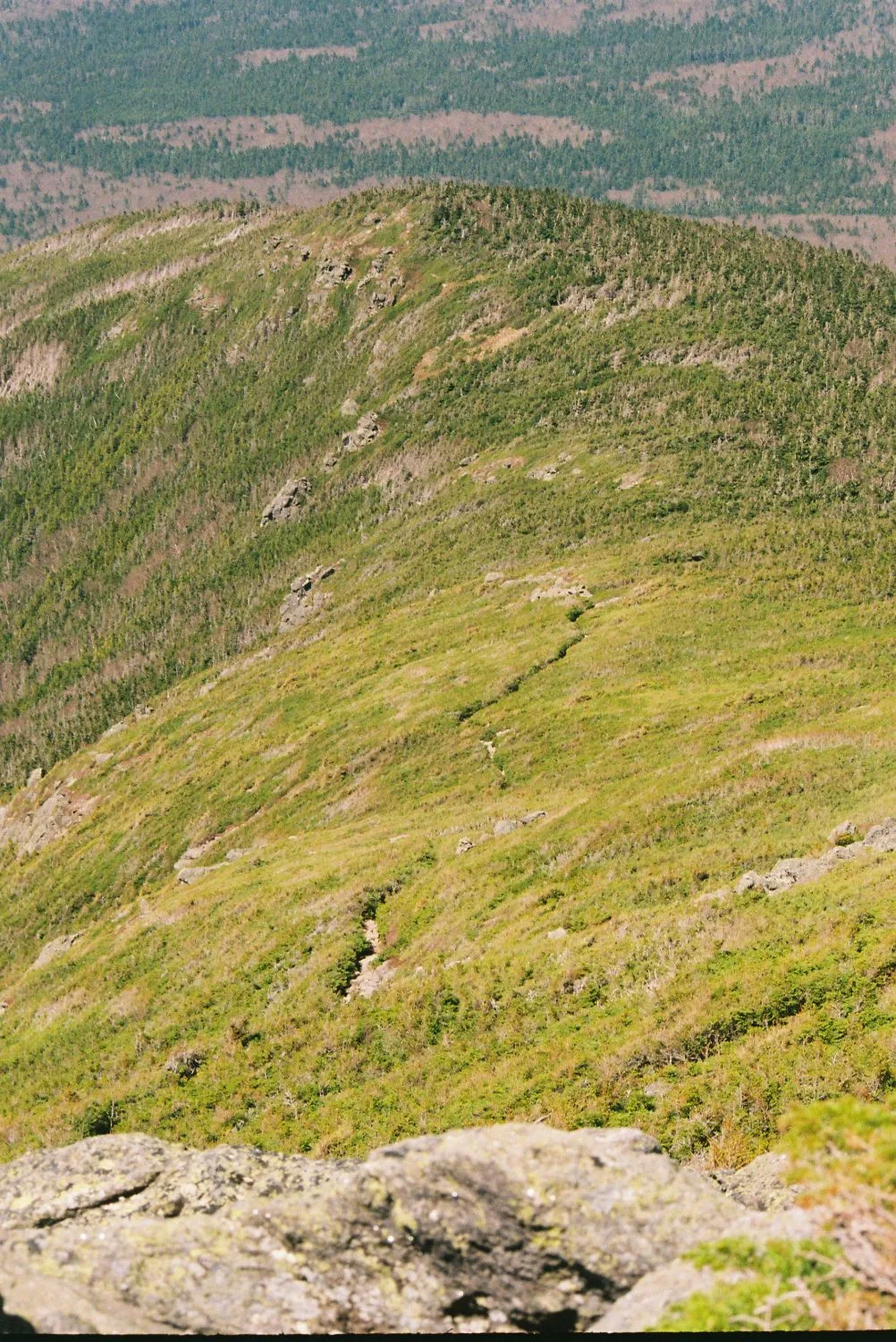 A trail winding across green alpine slopes below a rocky overlook